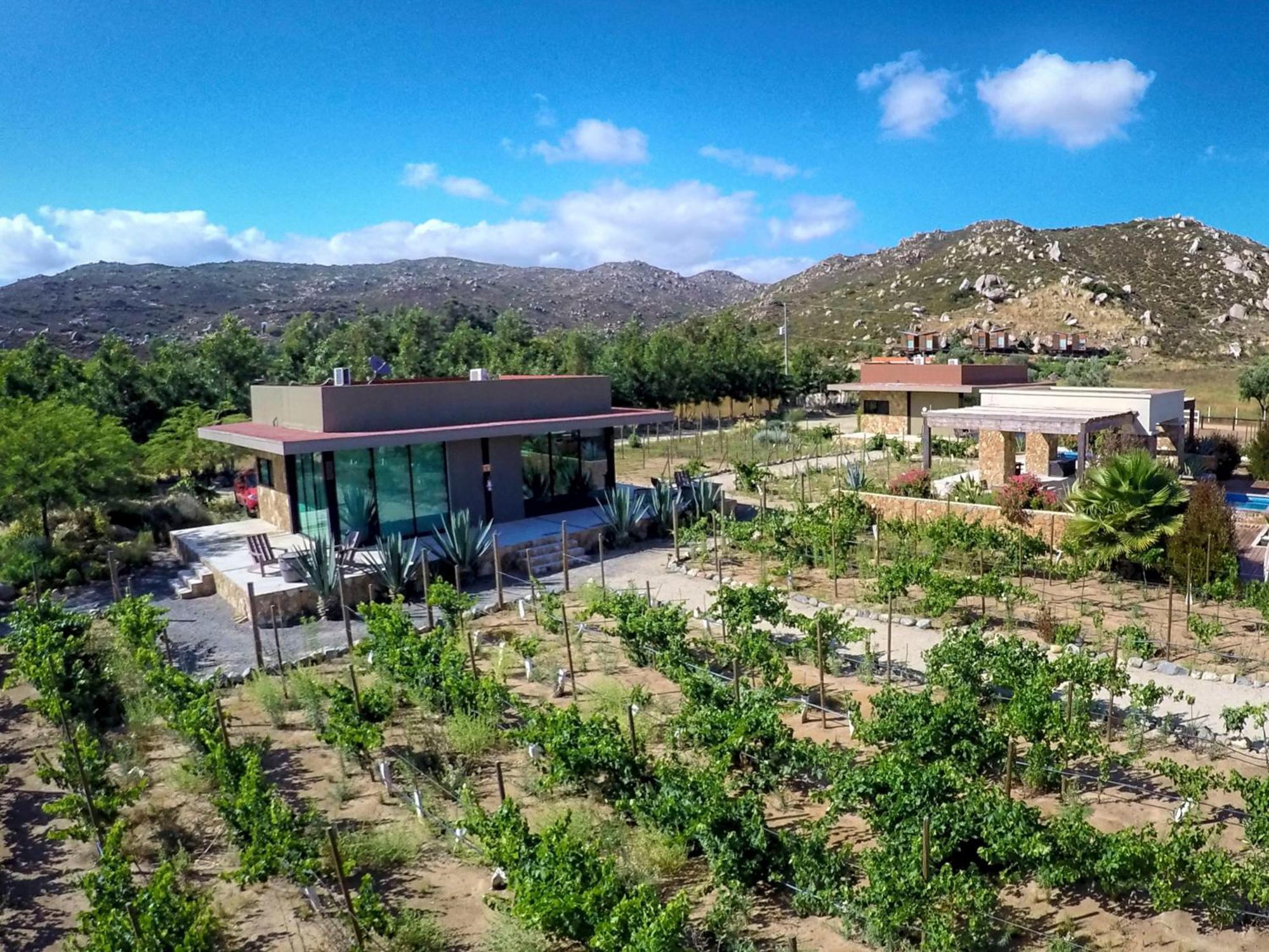 Hotel Boutique Valle de Guadalupe Chambre photo