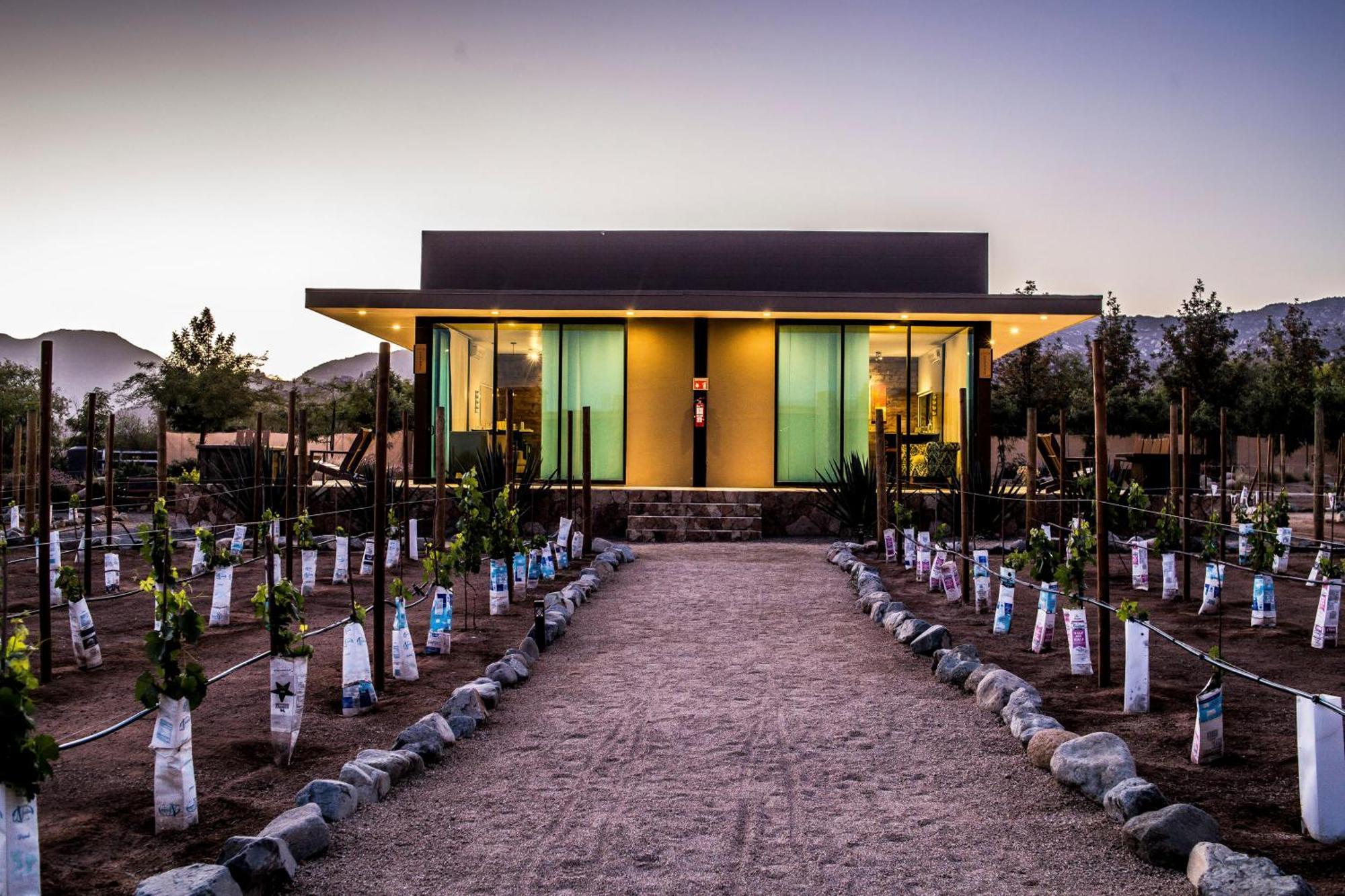 Hotel Boutique Valle de Guadalupe Chambre photo